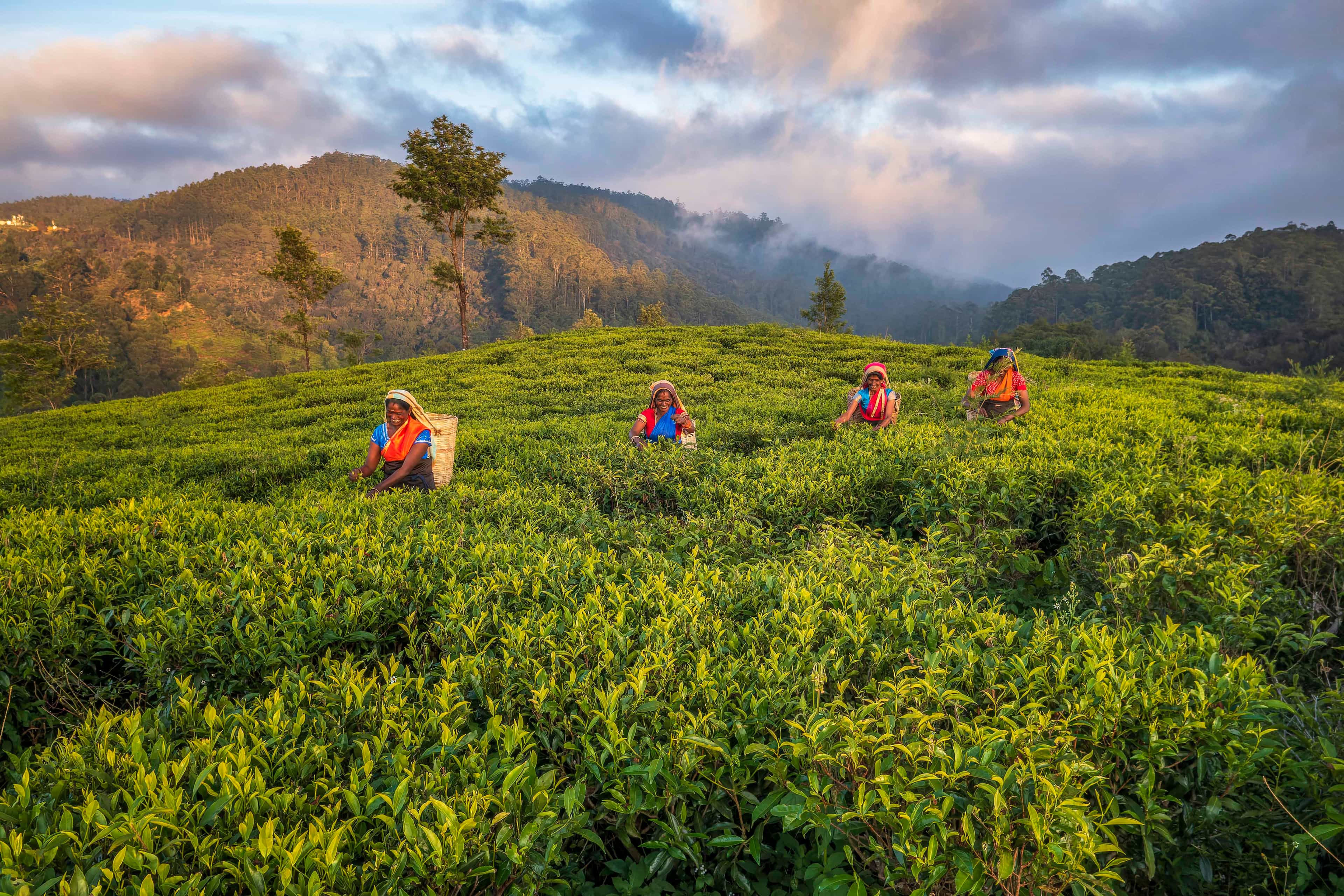 Whatever Your Travel Style, Sri Lanka is ready. Are You?