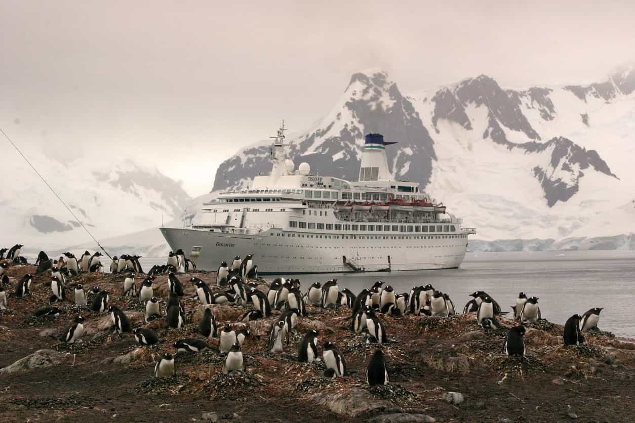 Everything You Need to Know About Cruising to Antarctica
