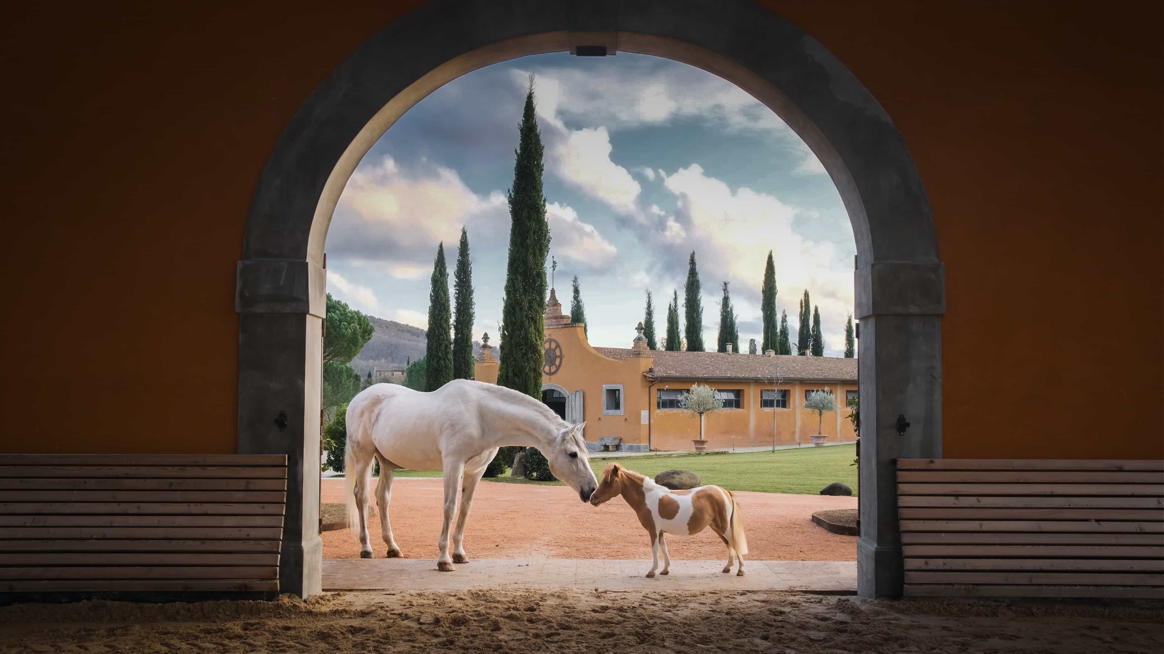 The Art of Equestrian: 8 Elegant Resorts Where Horseback Riding is Back in Vogue