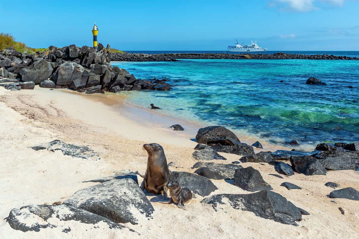 10 Things to Know Before Cruising to the Galapagos Islands