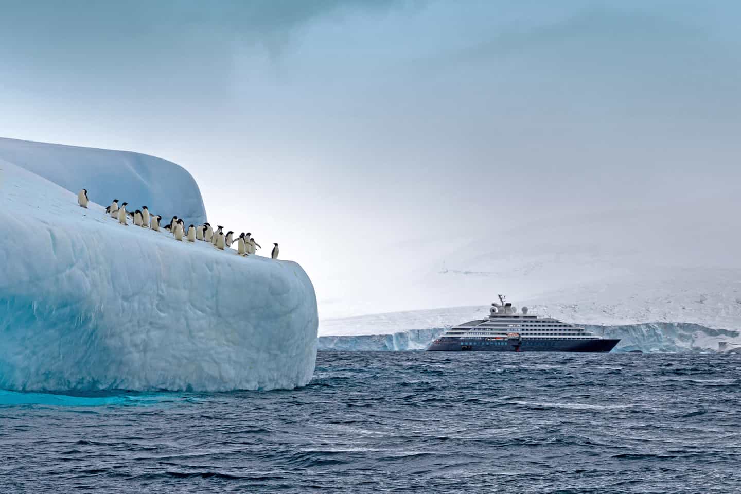 Scenic Ocean Cruises & Tours