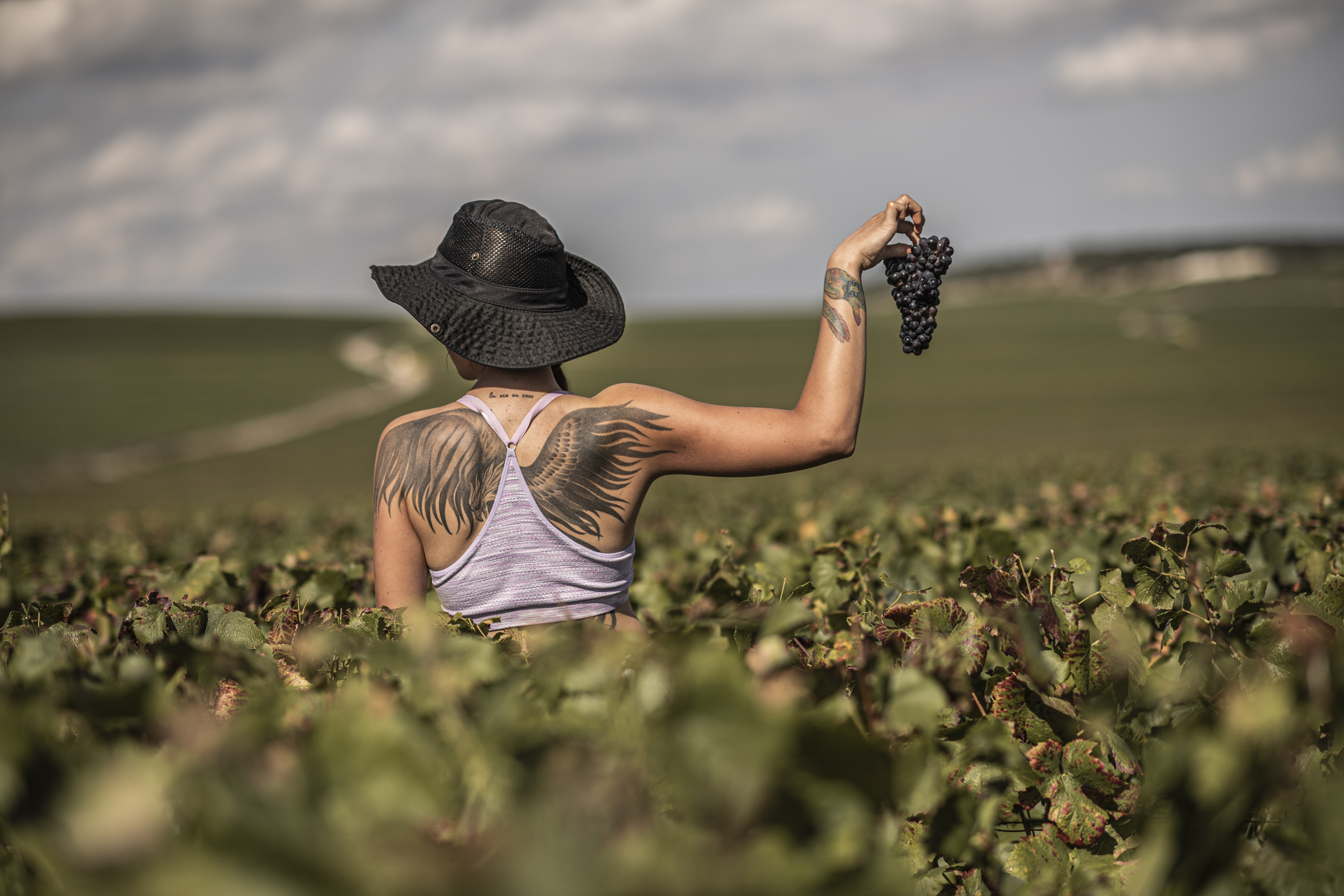 The Insider’s Guide to Visiting Champagne, Your Next Wine Country Getaway