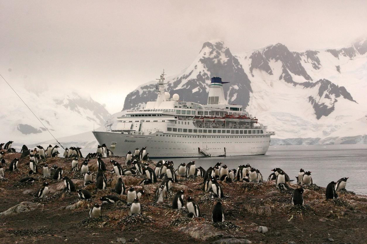 Everything You Need to Know About Cruising to Antarctica