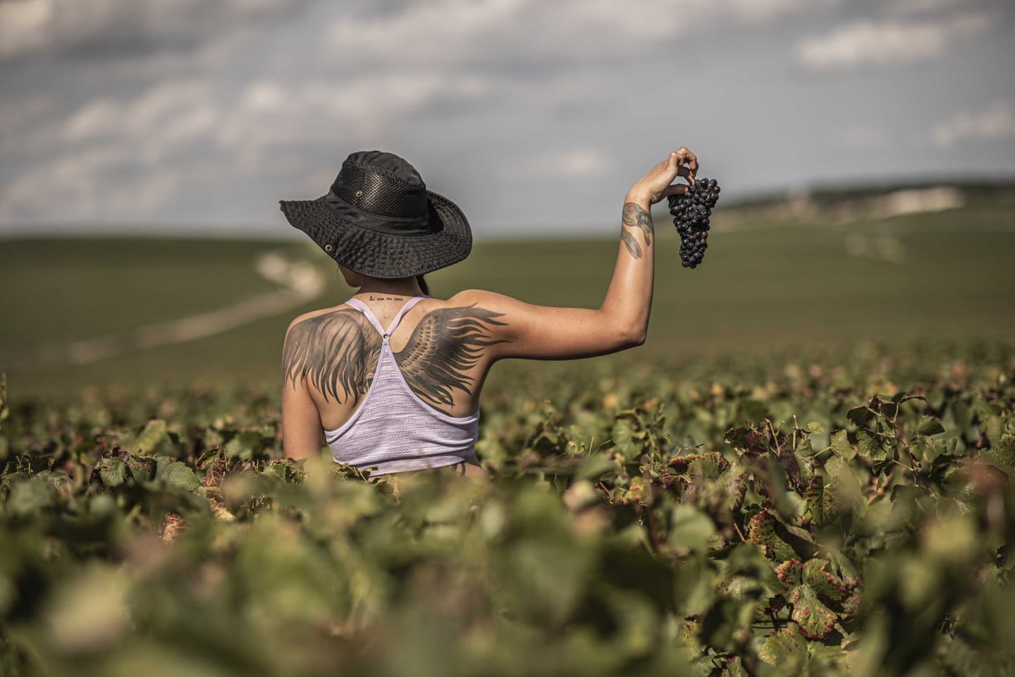 The Insider’s Guide to Visiting Champagne, Your Next Wine Country Getaway